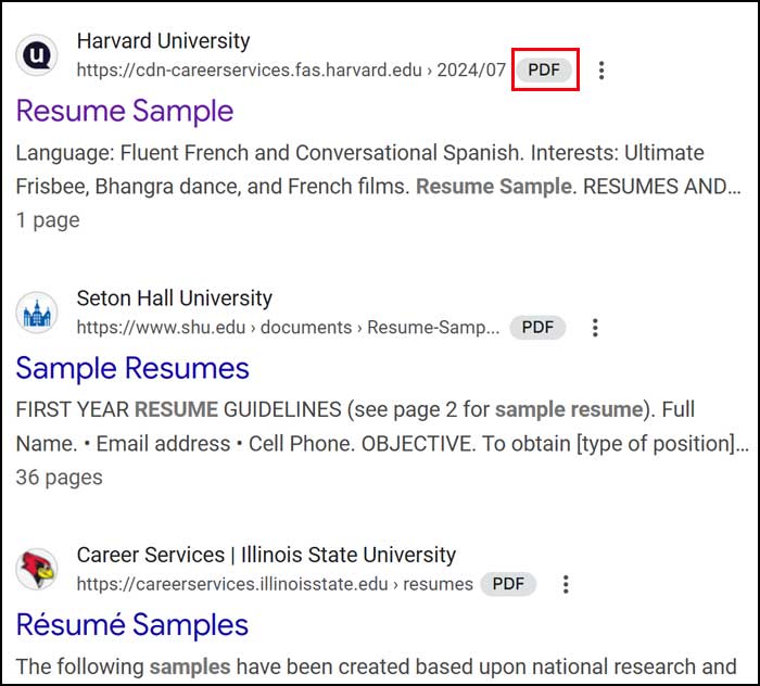 Google File type search