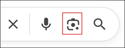 Google Reverse Image Search
