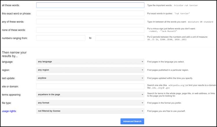 Google's advanced search feature