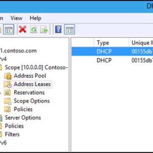 Windows DHCP Server Console