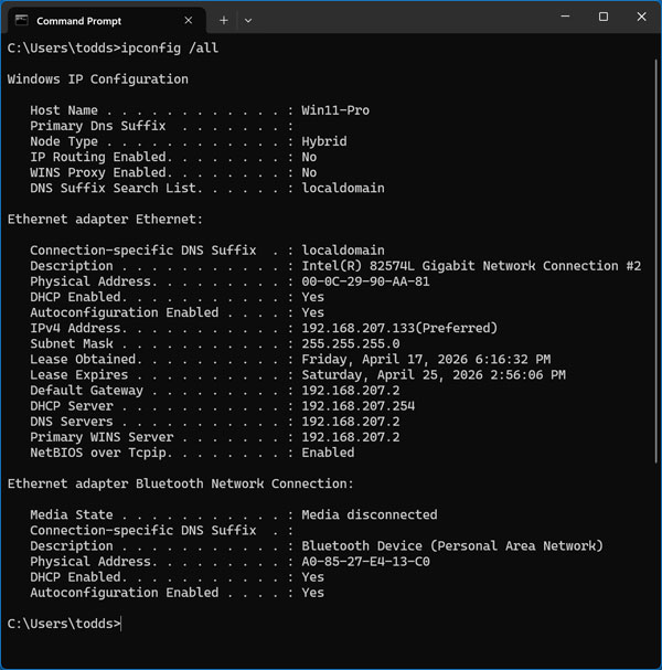 Getting detailed IP address info with IPconfig /all