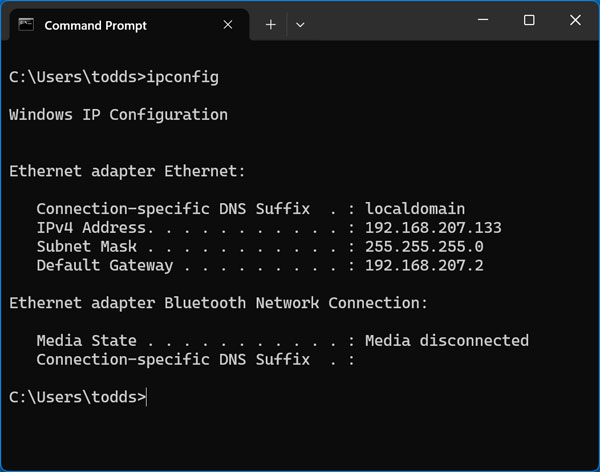 Getting IP address info with IPconfig