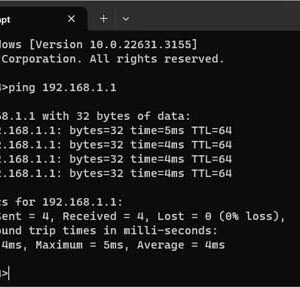 Command prompt ping