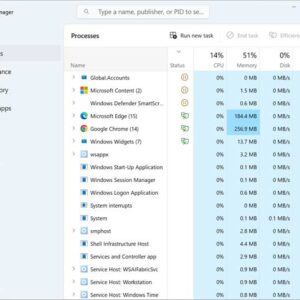 Using Windows Task Manager