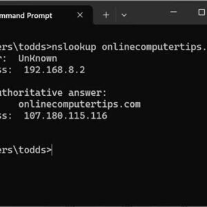 Using the Nslookup Command