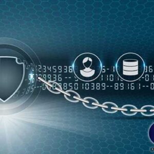 Website traffic and security