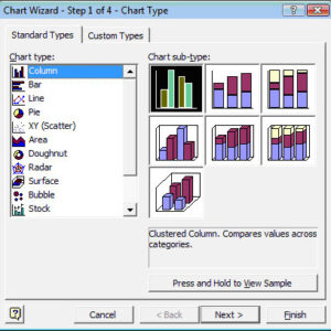 Basic Microsoft Excel