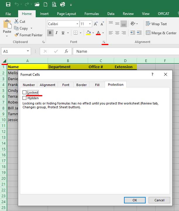Microsoft Excel Unprotect Sheet