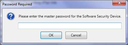 Firefox Master Pasword
