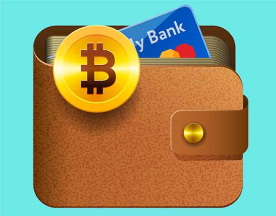 Bitcoin Crypto Wallet