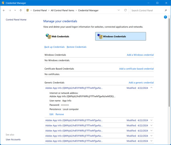 Windows Credential Manager
