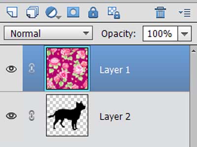 Adobe Photoshop layers