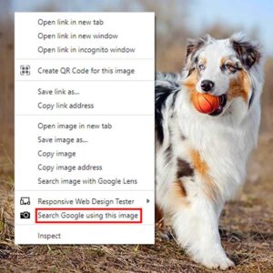 Google Image Search Chrome extension