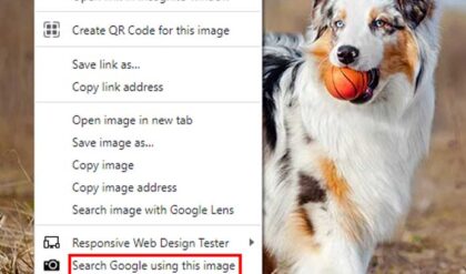 Google Image Search Chrome extension