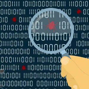 Software bug testing