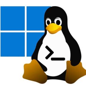 How to Run Linux Commands on a Windows PC