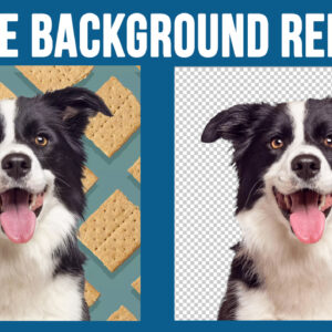 The Top 5 Online Photo Background Removal Tools for Transparent Backgrounds