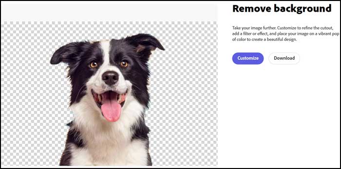 Adobe Express Online Photo Background Removal Tool