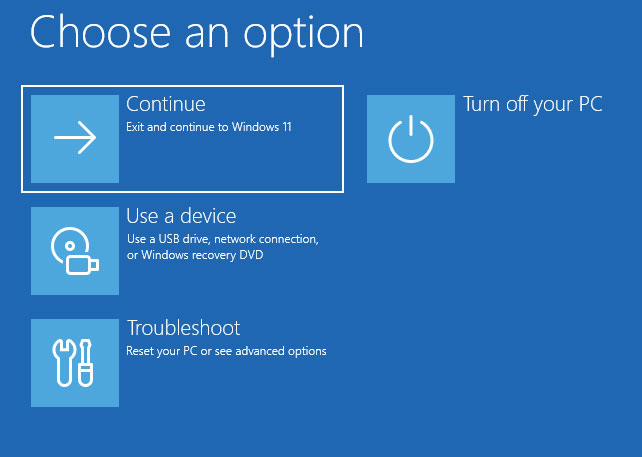 Windows recovery options