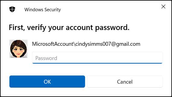 Windows verify your account password box