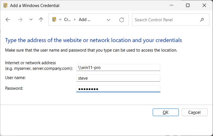 Windows Credential Manager add credential