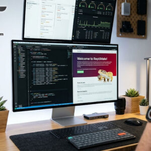 Software developer working on PC