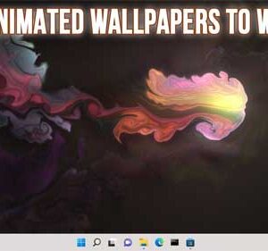 Add Live Wallpapers, YouTube Videos, and Personal Videos as Wallpapers in Windows