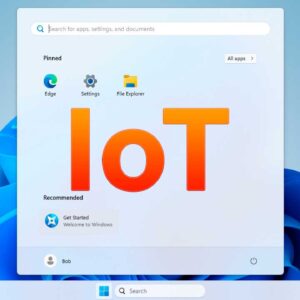 Install the Debloated Windows 11 IoT Enterprise LTSC as a Virtual Machine