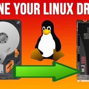 Clone a Linux hard drive to a new disk