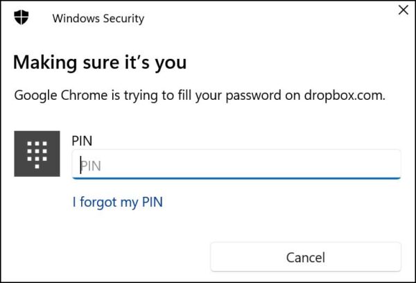 Disable the Windows Hello PIN Prompt when Using Saved Website Passwords ...