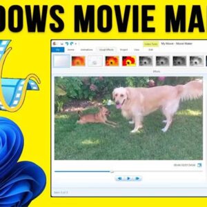 Install the Classic Windows Movie Maker on Windows 10 or 11