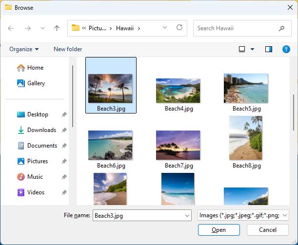 File Explorer large thumbnail view