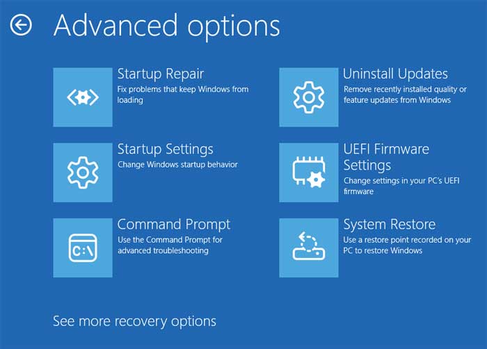 Windows Recovery Advanced Options