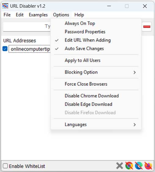 How to Block Specific Websites and Downloading Files in Specific Web Browsers
