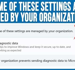 Fix the Windows Security Settings Some of These Settings Are Managed by Your Organization Message