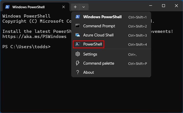 Windows Terminal app