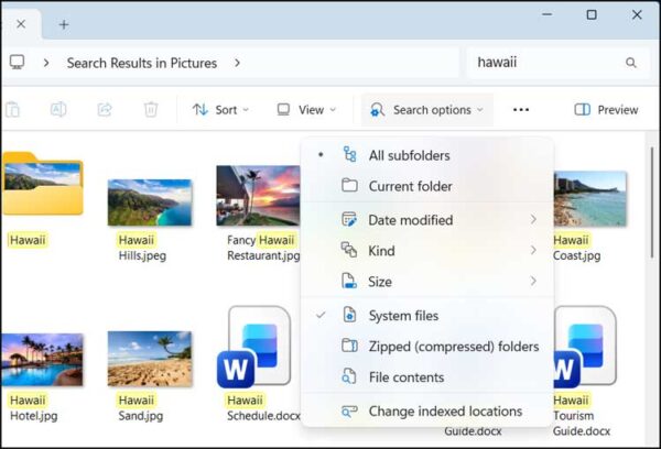 Save Time by Saving File Explorer Searches to Reuse in Windows - Online ...