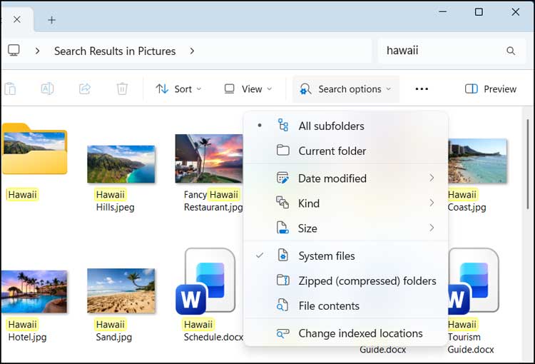 File Explorer Search Options