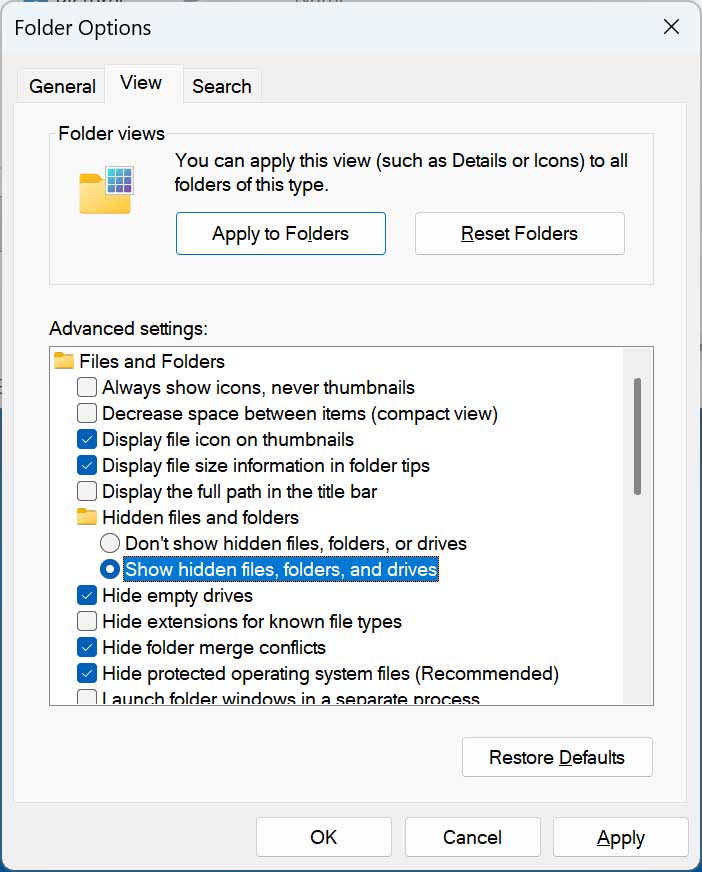 File Explorer folder options