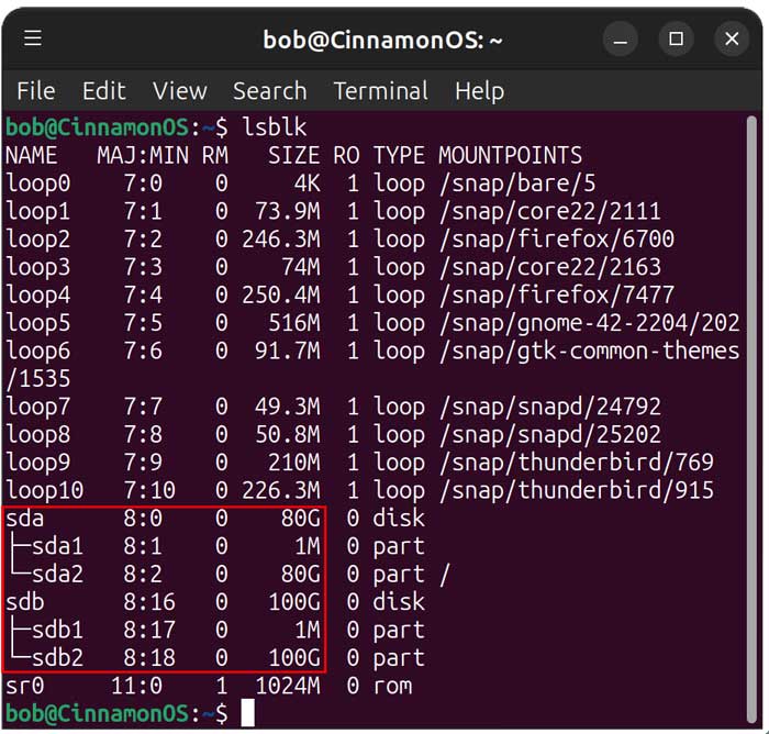 Linux lsblk command