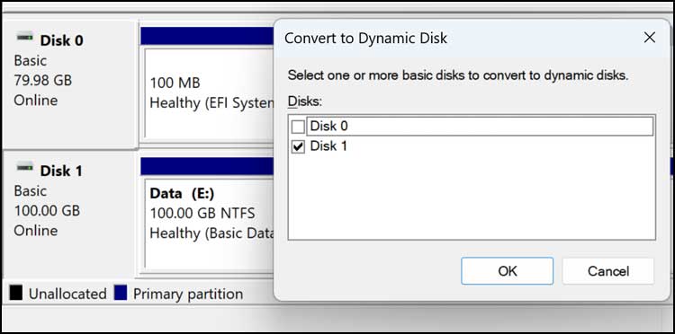 Convert a Basic Disk to a Dynamic Disk
