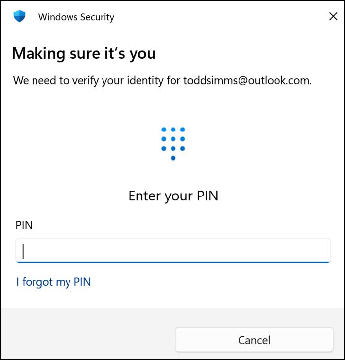 Making sure it's you. Enter your PIN