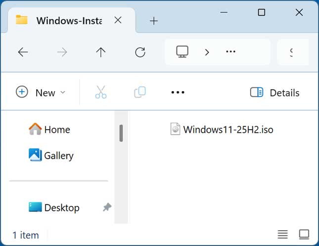 Windows File Explorer