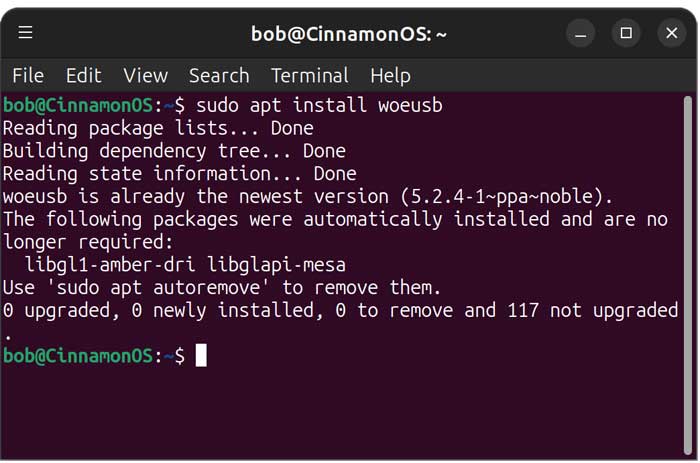Create a Windows 11 (or Linux) Bootable USB on Linux with WoeUSB