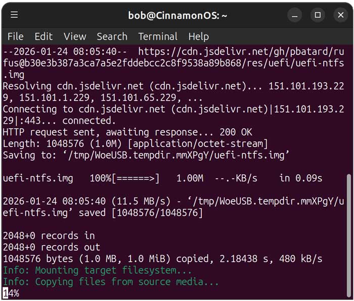 Create a Windows 11 (or Linux) Bootable USB on Linux with WoeUSB
