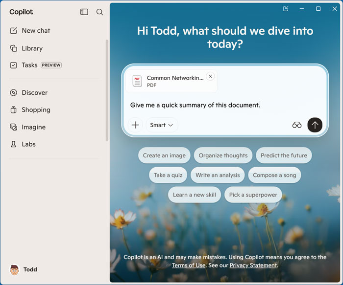 Copilot with PDF file uploaded