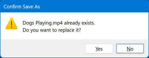 Confirm save as dialog