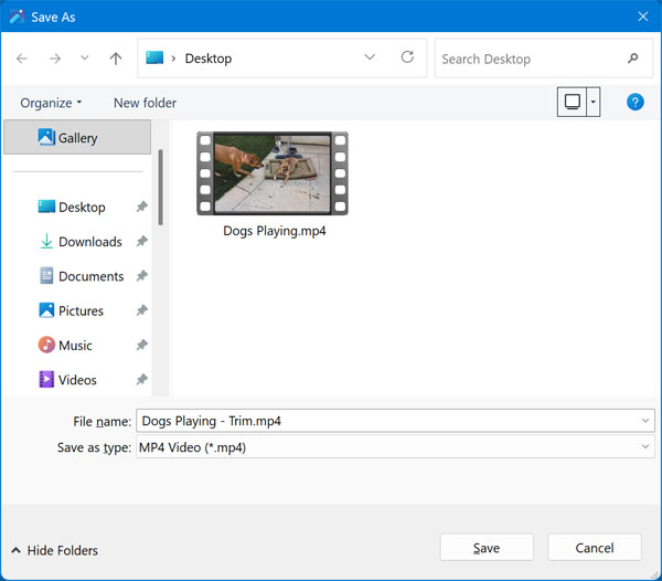 Save file dialog box