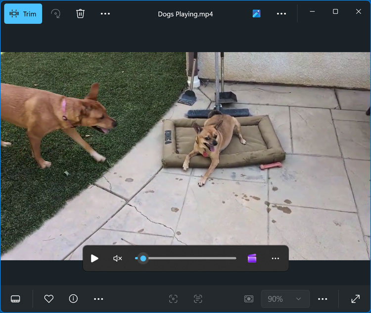 Photos app with the trim video button