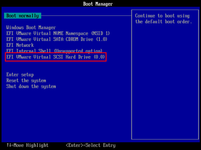 VMware Firmware boot manager